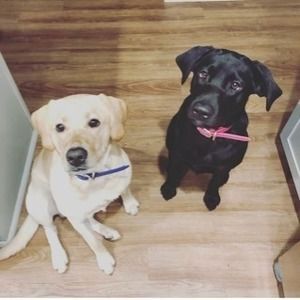 Meet your Posher, Natalie